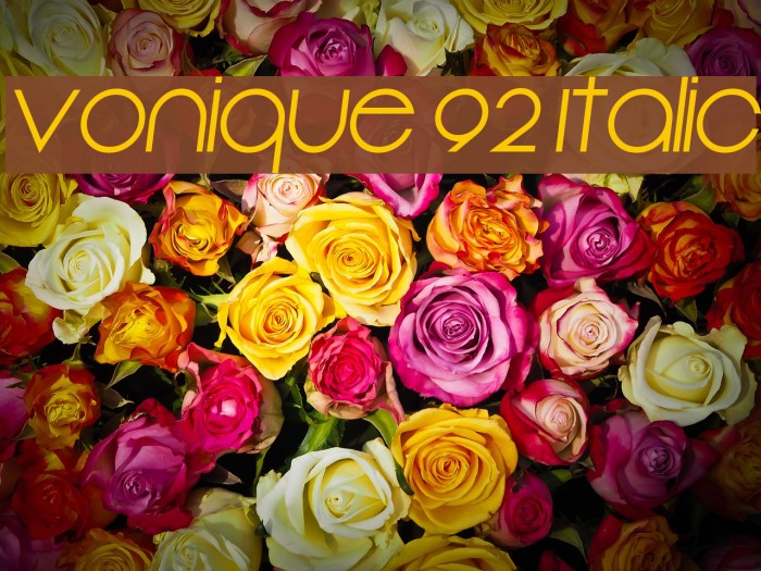 Vonique 92 Italic Font examples
