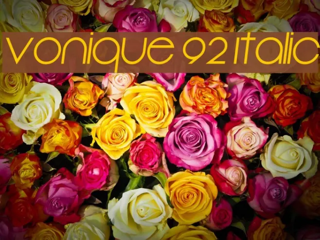 Vonique 92 Italic Example 1