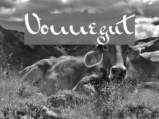 Vonnegut Font examples