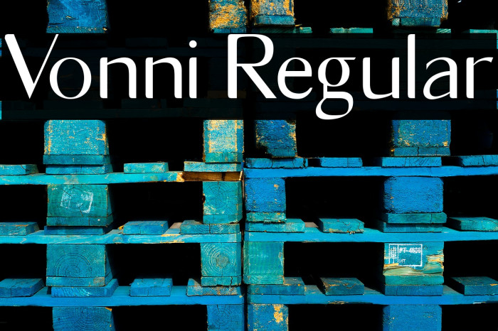 Vonni Regular Font examples