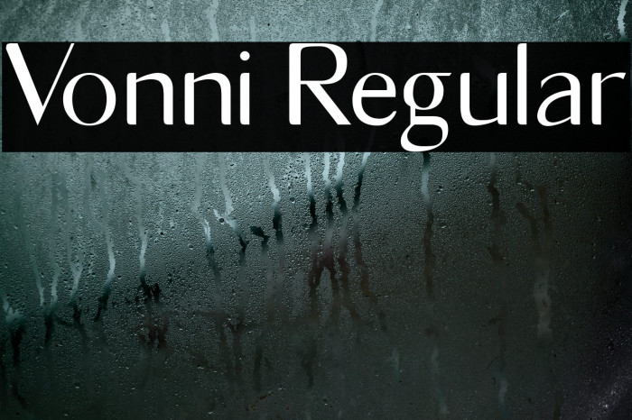 Vonni Regular Font examples