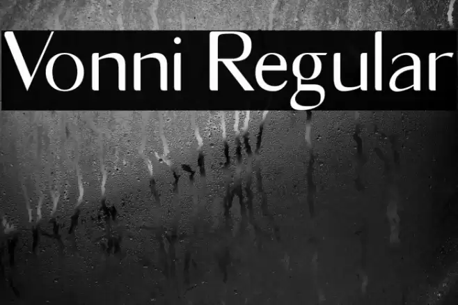 Vonni Regular Schriftart examples