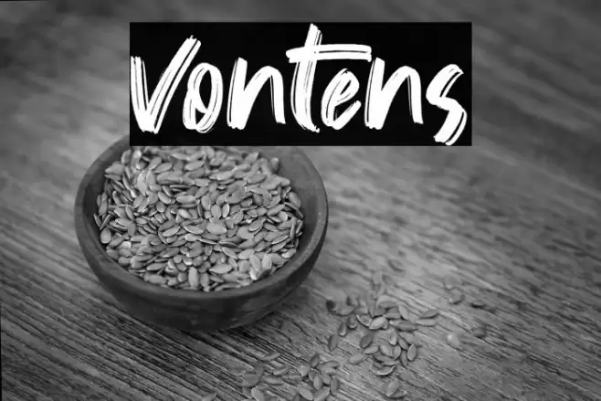 Vontens Font examples