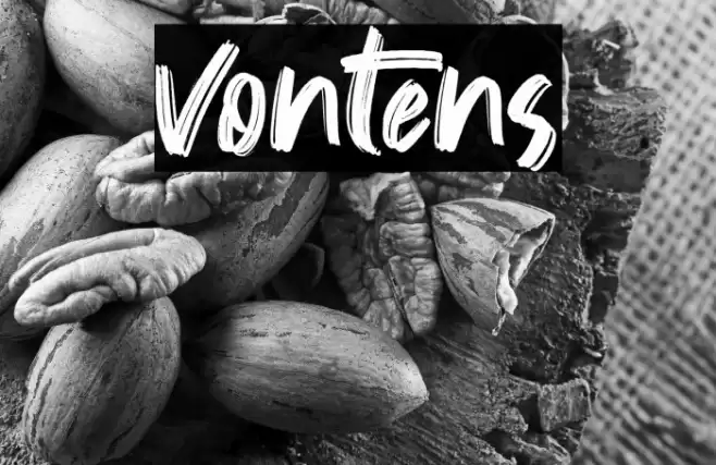 Vontens Font examples