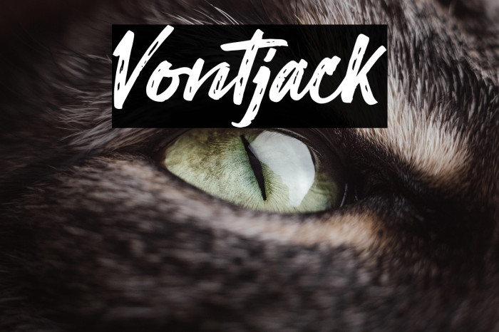 Vontjack Example 3