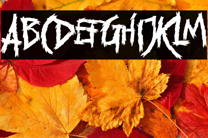 Voodo Dolls Example 3