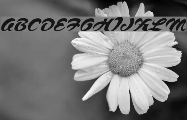 Voodoo Script Font examples