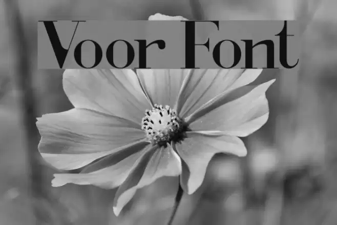 Voor Font examples
