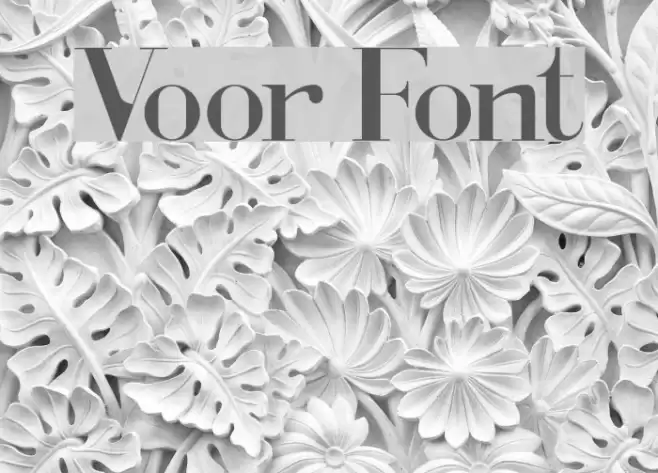 Voor Font examples
