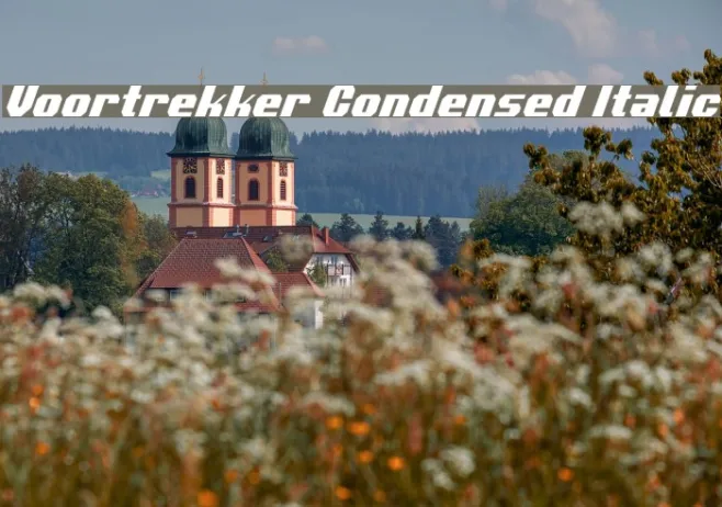 Voortrekker Condensed Italic Example 2