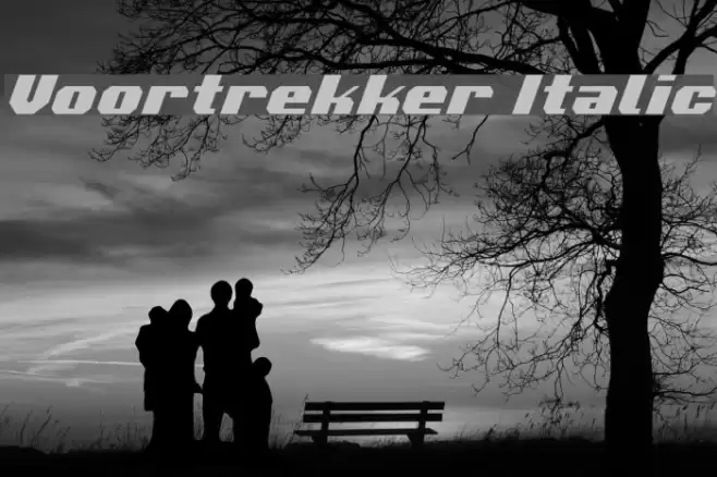 Voortrekker Italic Font examples
