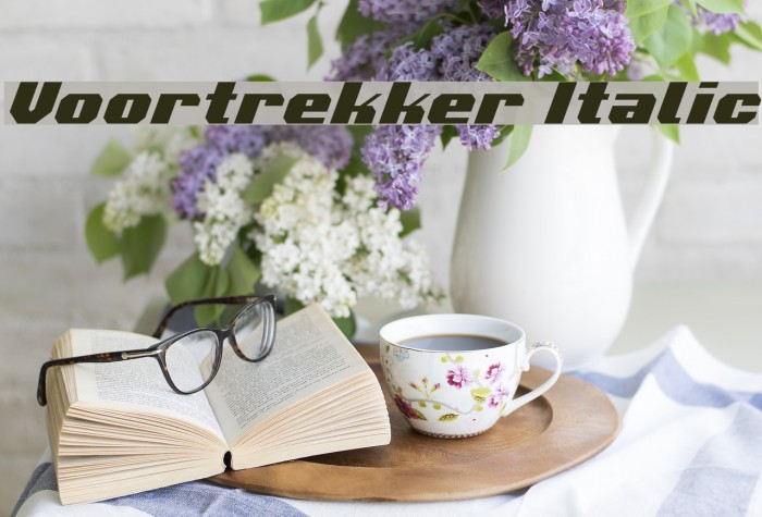 Voortrekker Italic Font examples