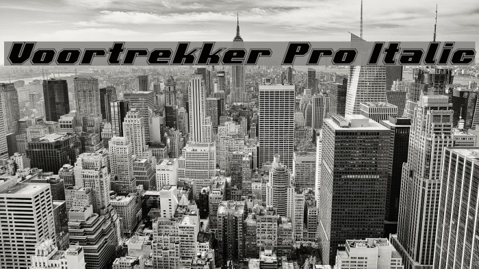 Voortrekker Pro Italic Font examples