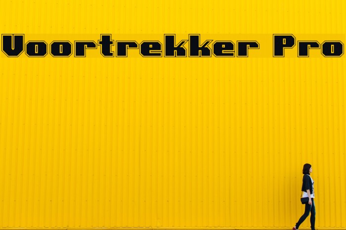 Voortrekker Pro Font examples