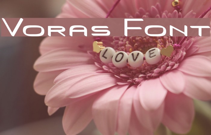 Voras Font examples