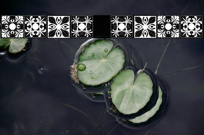 Vorlagen Regular Example 1