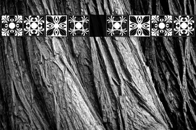 Vorlagen Regular Caratteri examples