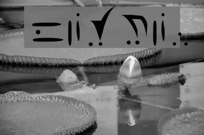 Vorlon Font examples