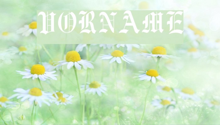 Vorname Font examples
