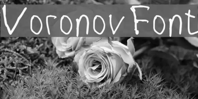 VoronovFont Font examples