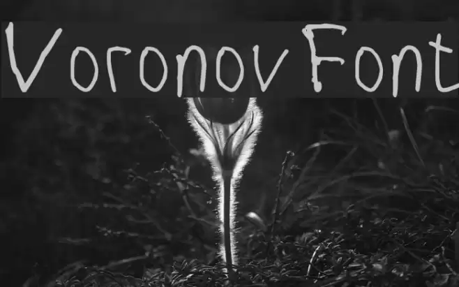 VoronovFont Font examples