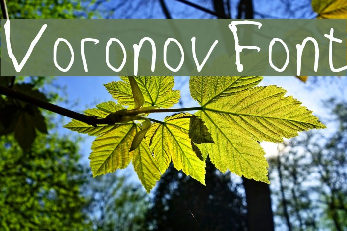 VoronovFont Font examples