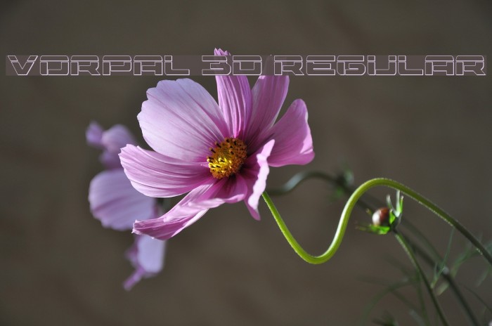 Vorpal 3D Regular Font examples