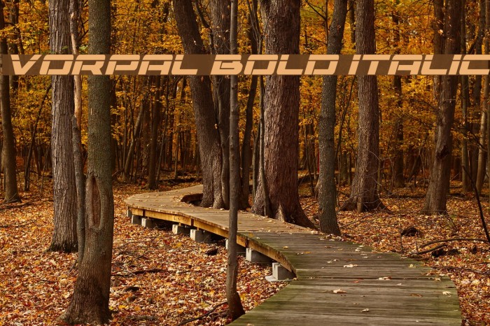 Vorpal Bold Italic Font examples
