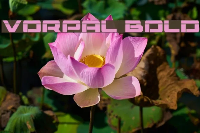 Vorpal Bold Example 2