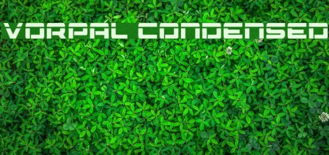 Vorpal Condensed Example 2