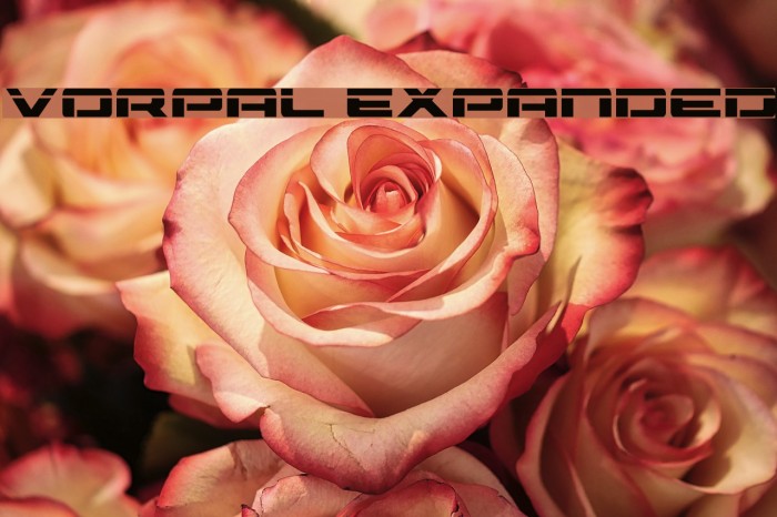 Vorpal Expanded Font examples