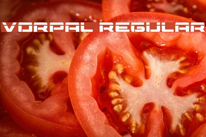 Vorpal Regular Font examples