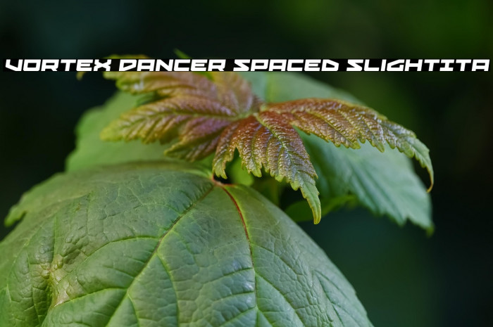 Vortex Dancer Spaced SlightIta Example 2