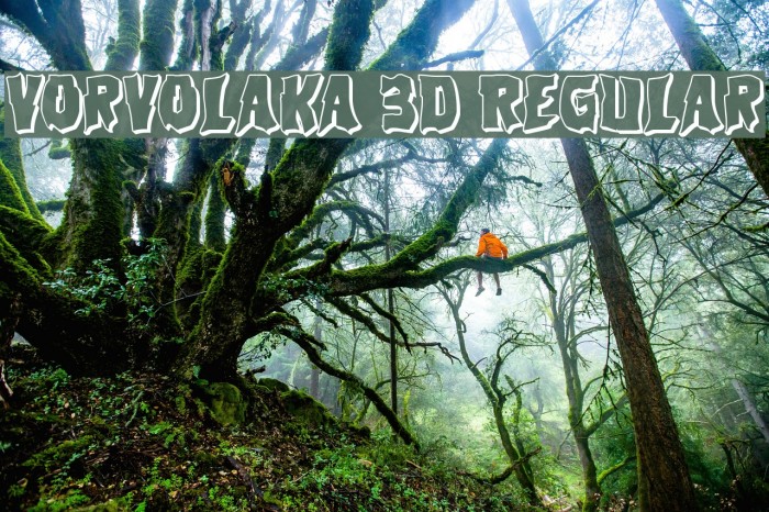 Vorvolaka 3D Regular Example 1