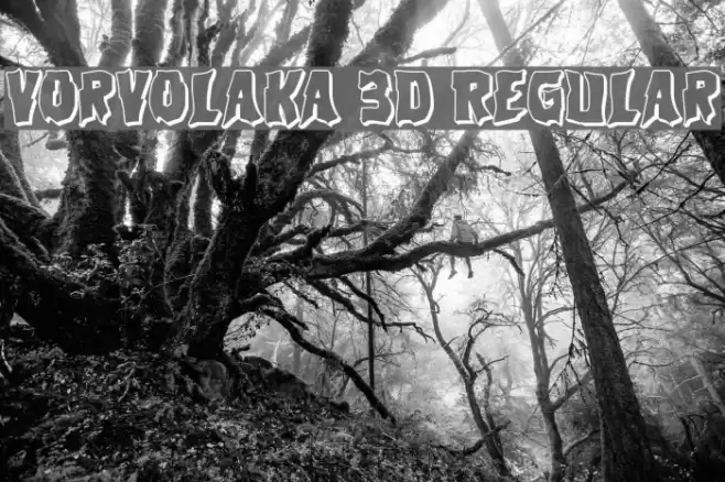 Vorvolaka 3D Regular Font examples
