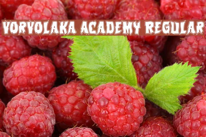 Vorvolaka Academy Regular Font examples