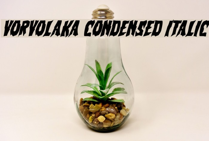 Vorvolaka Condensed Italic Example 3