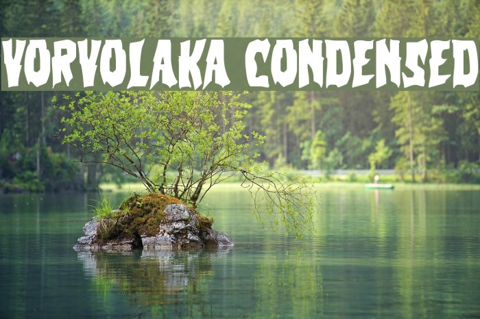Vorvolaka Condensed Font examples