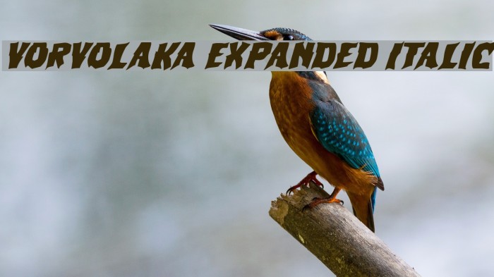 Vorvolaka Expanded Italic Font examples