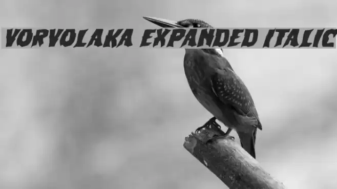 Vorvolaka Expanded Italic Font examples