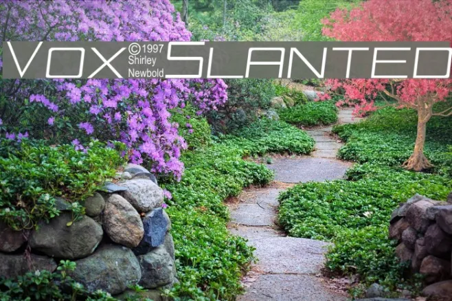 Vox-Slanted Example 1