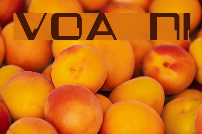 Voya Nui Font examples