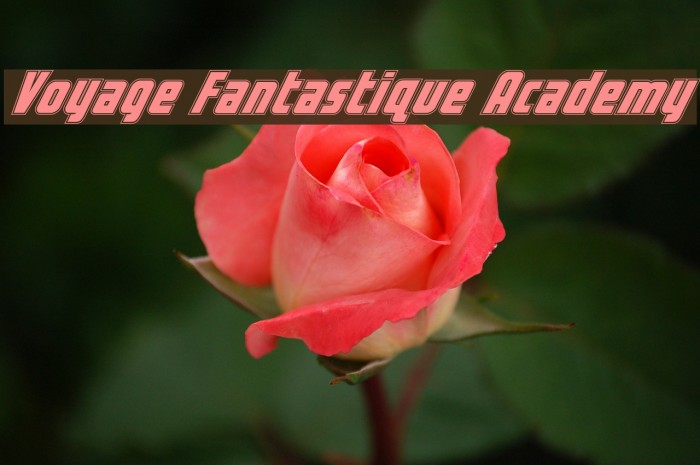 Voyage Fantastique Academy फ़ॉन्ट examples