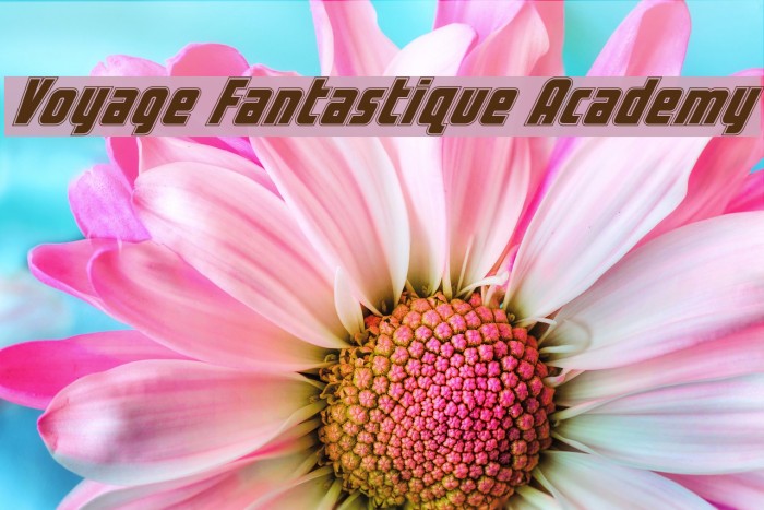 Voyage Fantastique Academy फ़ॉन्ट examples