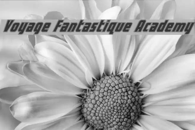 Voyage Fantastique Academy Font examples
