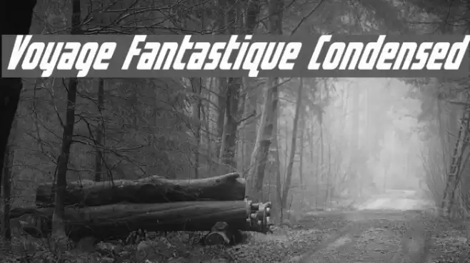 Voyage Fantastique Condensed Font examples