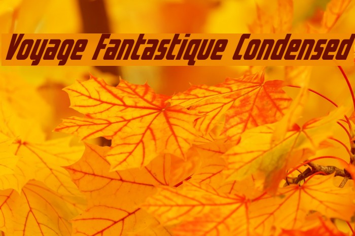 Voyage Fantastique Condensed Font examples