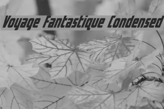 Voyage Fantastique Condensed Font examples