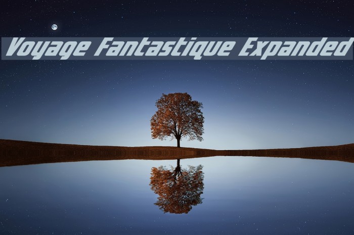 Voyage Fantastique Expanded Font examples