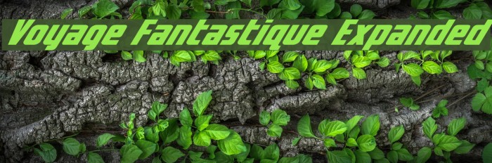 Voyage Fantastique Expanded Font examples